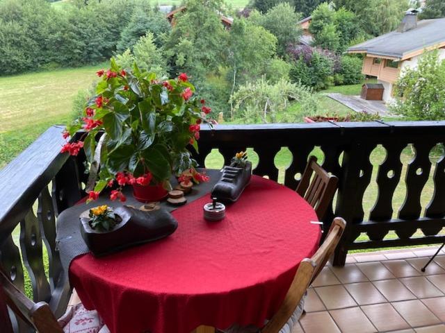 Sallanches 3101 Route De Nant Cruy Immeuble Le Grand R 外观 照片